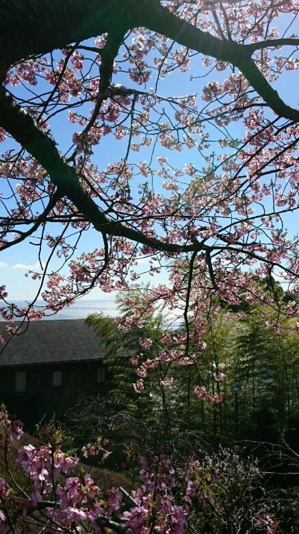 Hotel Chikurinan Mizuno Atami  Esterno foto